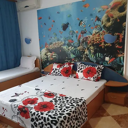 Toro Guest house